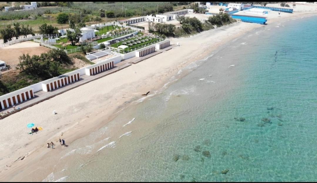 Musa Balbisiana Casa Olea Brindisi Extérieur photo