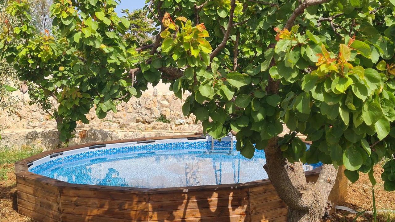 Musa Balbisiana Casa Olea Brindisi Extérieur photo